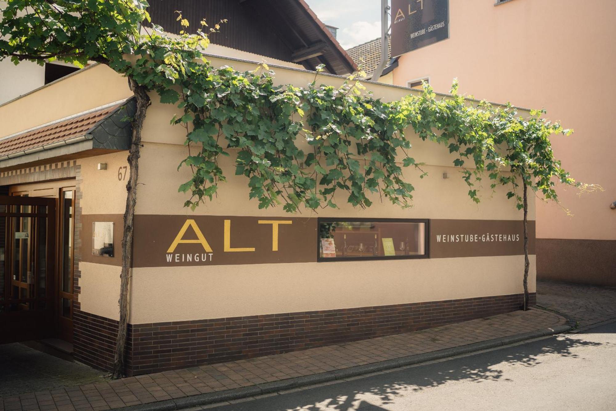 Weingut Und Gaestehaus Holger Alt Monzingen Exterior foto