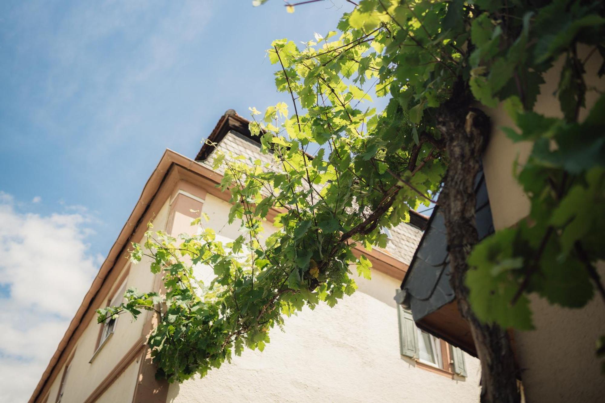 Weingut Und Gaestehaus Holger Alt Monzingen Exterior foto